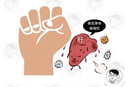 肝功能偏高怎么降下来 （肝酶升高，如何保护肝脏）