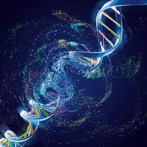 入职体检前注意事项女生第1张-温百百科