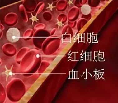 转氨酶100多公务员体检能过吗第1张-温百百科